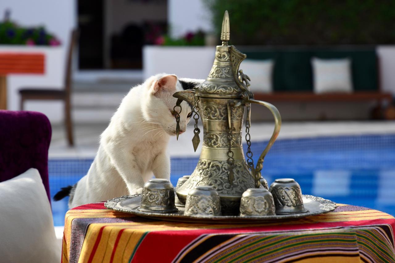 Behlys Boutique Hotell Muscat Exteriör bild